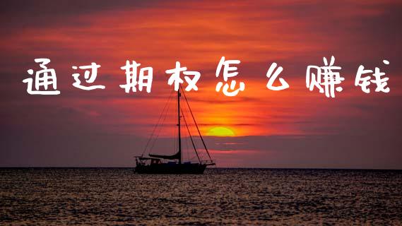 通过期权怎么赚钱_https://wap.fcdydaikuan.com_国际投资_第1张