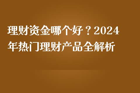 理财资金哪个好？2024年热门理财产品全解析_https://wap.fcdydaikuan.com_国际投资_第1张
