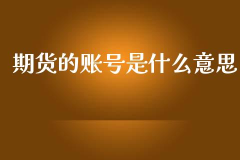 期货的账号是什么意思_https://wap.fcdydaikuan.com_新股数据_第1张