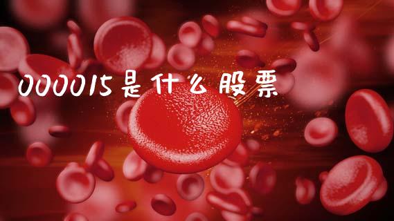 000015是什么股票_https://wap.fcdydaikuan.com_投资策略_第1张