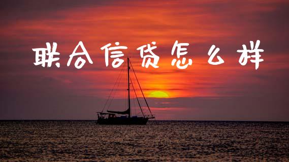 联合信贷怎么样_https://wap.fcdydaikuan.com_期货品种_第1张