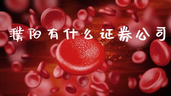 濮阳有什么证券公司_https://wap.fcdydaikuan.com_新股数据_第1张