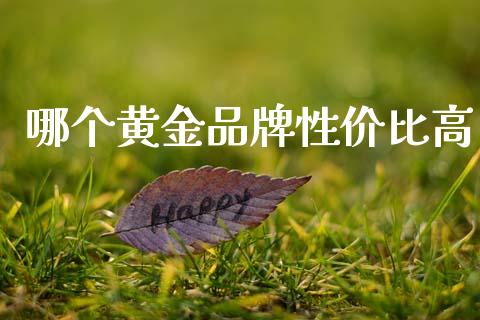 哪个黄金品牌性价比高_https://wap.fcdydaikuan.com_新股数据_第1张