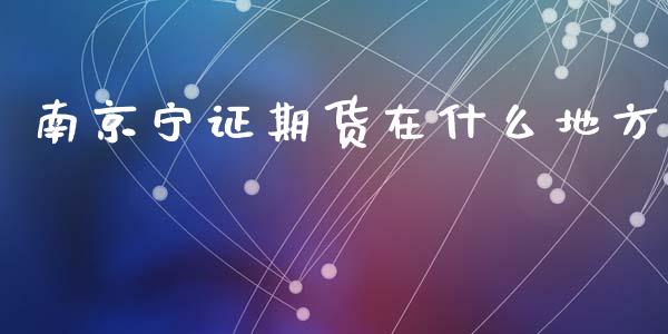 南京宁证期货在什么地方_https://wap.fcdydaikuan.com_理财顾问_第1张