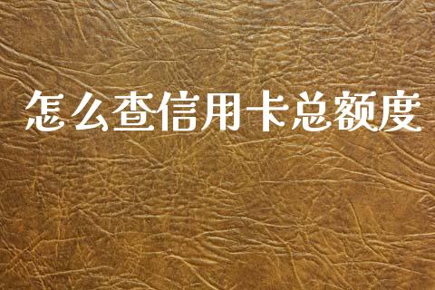 怎么查信用卡总额度_https://wap.fcdydaikuan.com_投资策略_第1张