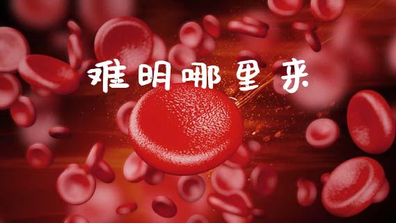 难明哪里来_https://wap.fcdydaikuan.com_金融机构_第1张