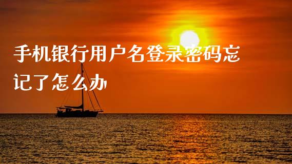 手机银行用户名登录密码忘记了怎么办_https://wap.fcdydaikuan.com_新股数据_第1张