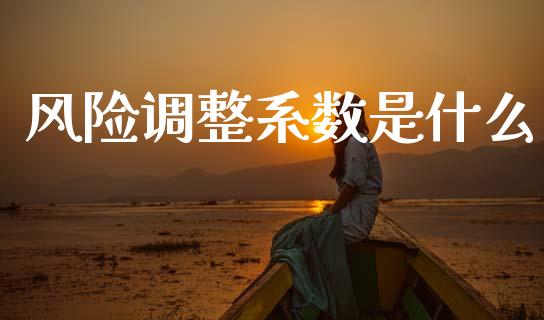 风险调整系数是什么_https://wap.fcdydaikuan.com_投资策略_第1张