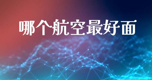 哪个航空最好面_https://wap.fcdydaikuan.com_理财顾问_第1张