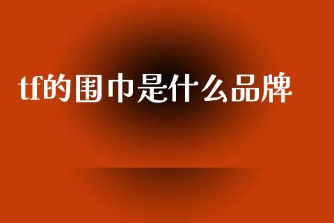 tf的围巾是什么品牌_https://wap.fcdydaikuan.com_理财顾问_第1张