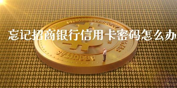 忘记招商银行信用卡密码怎么办_https://wap.fcdydaikuan.com_理财顾问_第1张