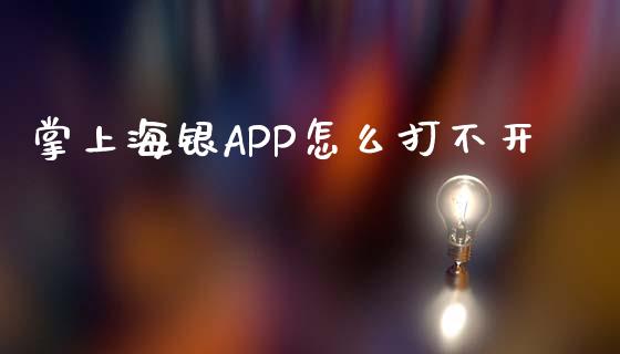 掌上海银APP怎么打不开_https://wap.fcdydaikuan.com_理财顾问_第1张