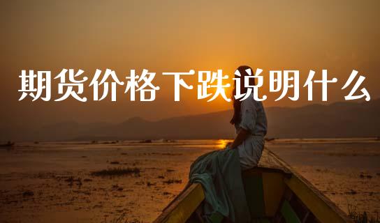 期货价格下跌说明什么_https://wap.fcdydaikuan.com_投资策略_第1张