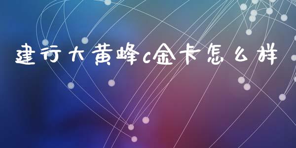 建行大黄蜂c金卡怎么样_https://wap.fcdydaikuan.com_新股数据_第1张