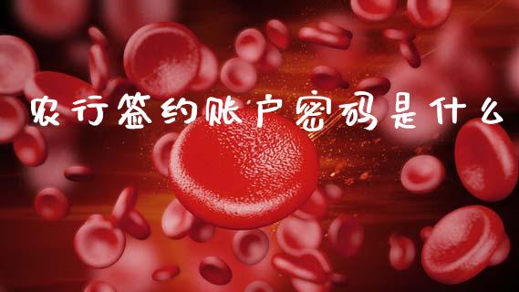 农行签约账户密码是什么_https://wap.fcdydaikuan.com_国际投资_第1张