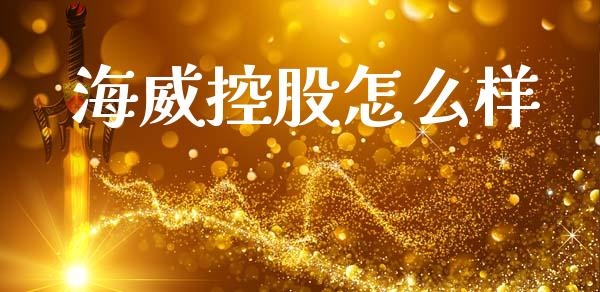 海威控股怎么样_https://wap.fcdydaikuan.com_投资策略_第1张