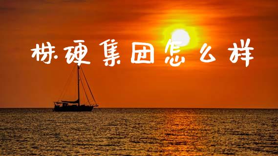 株硬集团怎么样_https://wap.fcdydaikuan.com_新股数据_第1张