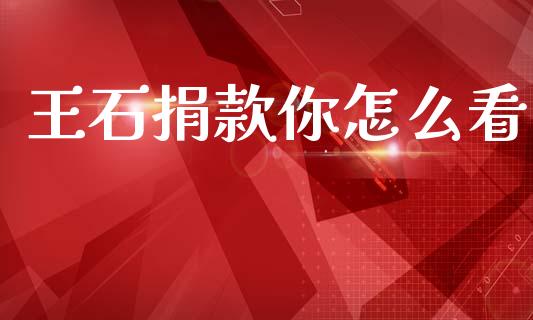 王石捐款你怎么看_https://wap.fcdydaikuan.com_金融机构_第1张