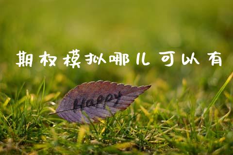 期权模拟哪儿可以有_https://wap.fcdydaikuan.com_新股数据_第1张