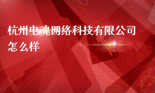杭州电魂网络科技有限公司怎么样_https://wap.fcdydaikuan.com_新股数据_第1张