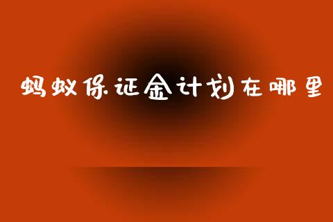 蚂蚁保证金计划在哪里_https://wap.fcdydaikuan.com_理财顾问_第1张
