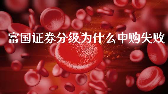富国证券分级为什么申购失败_https://wap.fcdydaikuan.com_期货品种_第1张