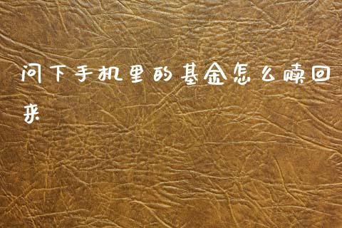 问下手机里的基金怎么赎回来_https://wap.fcdydaikuan.com_期货品种_第1张