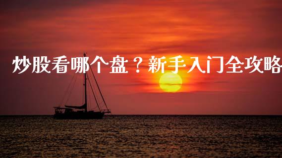 炒股看哪个盘？新手入门全攻略_https://wap.fcdydaikuan.com_理财顾问_第1张