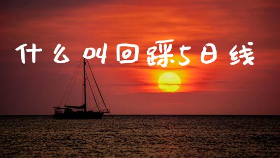什么叫回踩5日线_https://wap.fcdydaikuan.com_金融机构_第1张