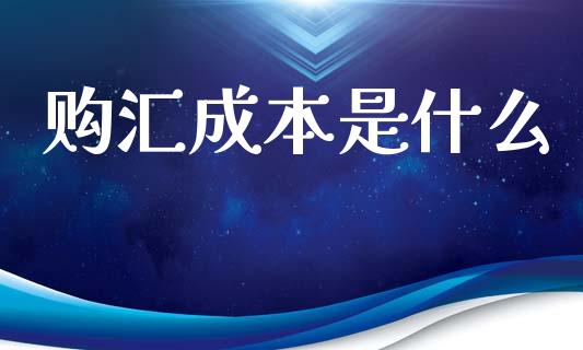 购汇成本是什么_https://wap.fcdydaikuan.com_理财顾问_第1张