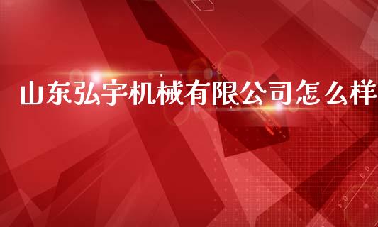 山东弘宇机械有限公司怎么样_https://wap.fcdydaikuan.com_金融机构_第1张
