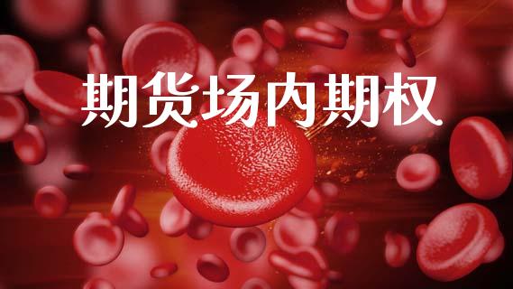 期货场内期权_https://wap.fcdydaikuan.com_国际投资_第1张