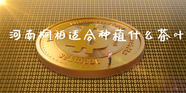 河南桐柏适合种植什么茶叶_https://wap.fcdydaikuan.com_国际投资_第1张