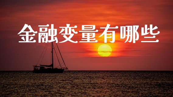 金融变量有哪些_https://wap.fcdydaikuan.com_理财顾问_第1张