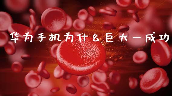 华为手机为什么巨大一成功_https://wap.fcdydaikuan.com_期货品种_第1张