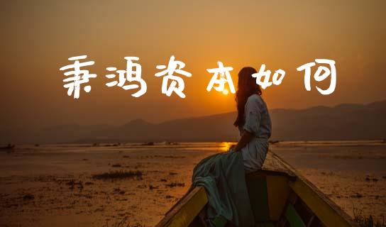 秉鸿资本如何_https://wap.fcdydaikuan.com_理财顾问_第1张