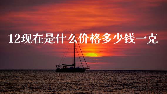12现在是什么价格多少钱一克_https://wap.fcdydaikuan.com_国际投资_第1张