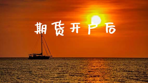 期货开户后_https://wap.fcdydaikuan.com_新股数据_第1张