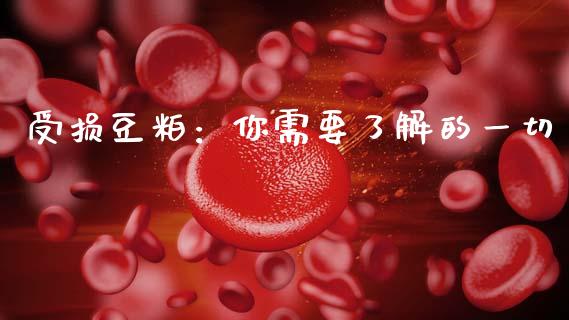 受损豆粕：你需要了解的一切_https://wap.fcdydaikuan.com_国际投资_第1张