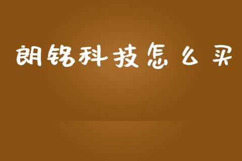 朗铭科技怎么买_https://wap.fcdydaikuan.com_国际投资_第1张