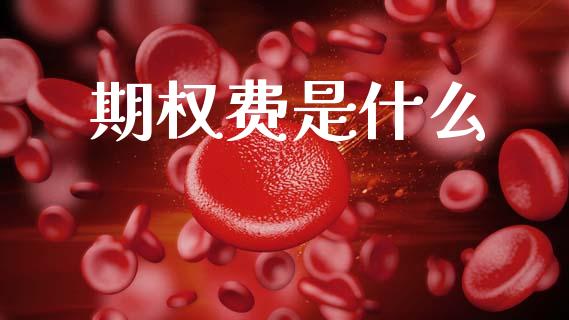 期权费是什么_https://wap.fcdydaikuan.com_金融机构_第1张