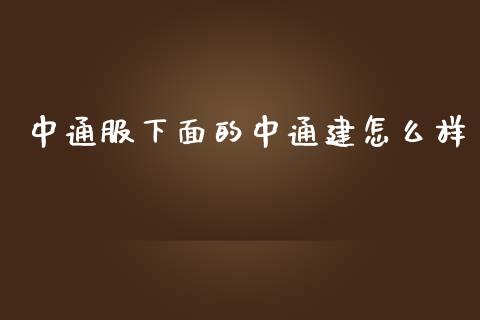 中通服下面的中通建怎么样_https://wap.fcdydaikuan.com_期货品种_第1张