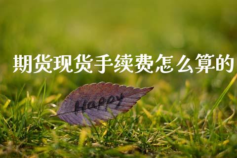 期货现货手续费怎么算的_https://wap.fcdydaikuan.com_理财顾问_第1张