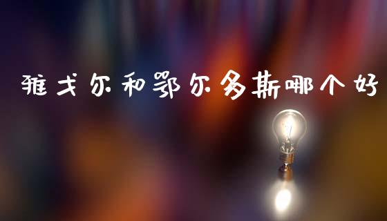 雅戈尔和鄂尔多斯哪个好_https://wap.fcdydaikuan.com_国际投资_第1张
