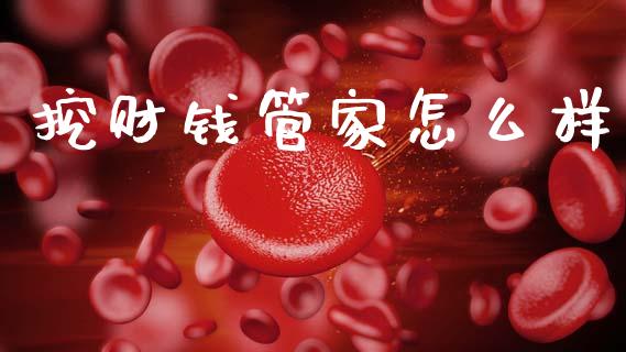 挖财钱管家怎么样_https://wap.fcdydaikuan.com_金融机构_第1张