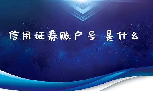 信用证券账户号 是什么_https://wap.fcdydaikuan.com_投资策略_第1张