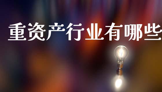 重资产行业有哪些_https://wap.fcdydaikuan.com_期货品种_第1张