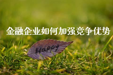 金融企业如何加强竞争优势_https://wap.fcdydaikuan.com_投资策略_第1张