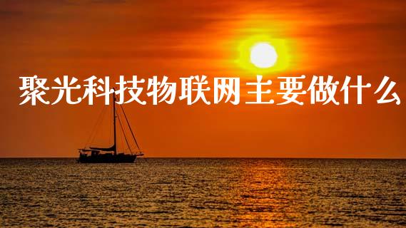 聚光科技物联网主要做什么_https://wap.fcdydaikuan.com_投资策略_第1张