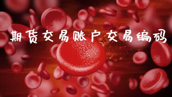 期货交易账户交易编码_https://wap.fcdydaikuan.com_期货品种_第1张
